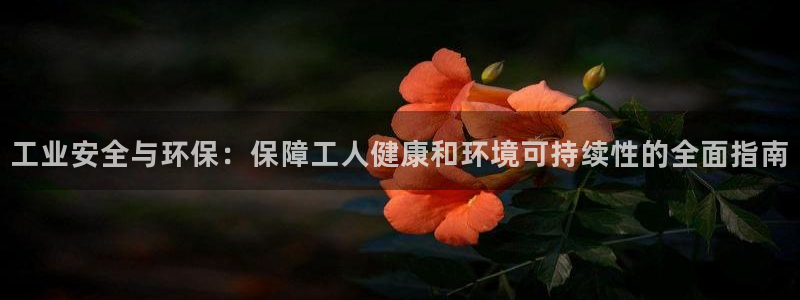 jdb电子网站