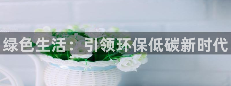jdb电子是哪里开发的游戏