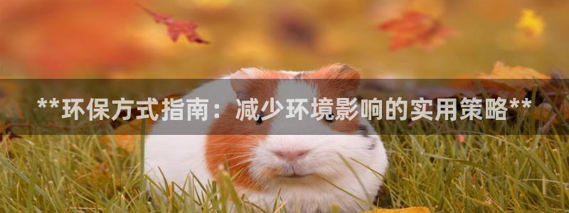 jdb电子飞鸟派对游戏