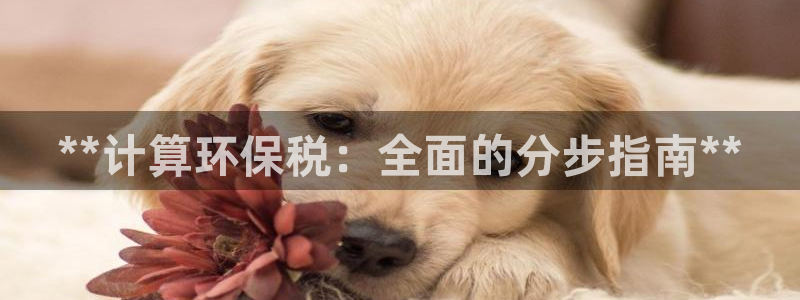 jdb五龙捕鱼哪个平台好
