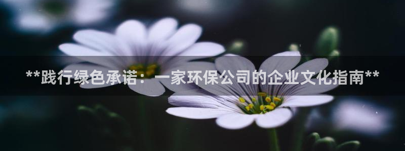 jdb电子金刚倍率