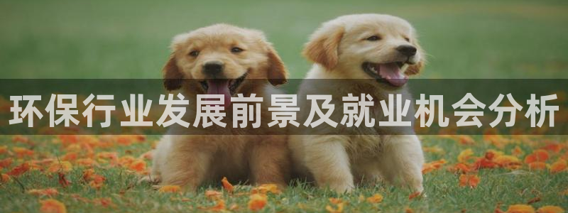 Jdb电子游戏
