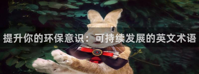 jdb变脸2