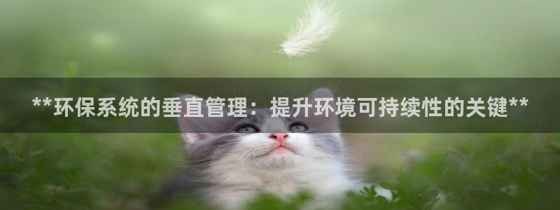 jdb飞鸟派对bug