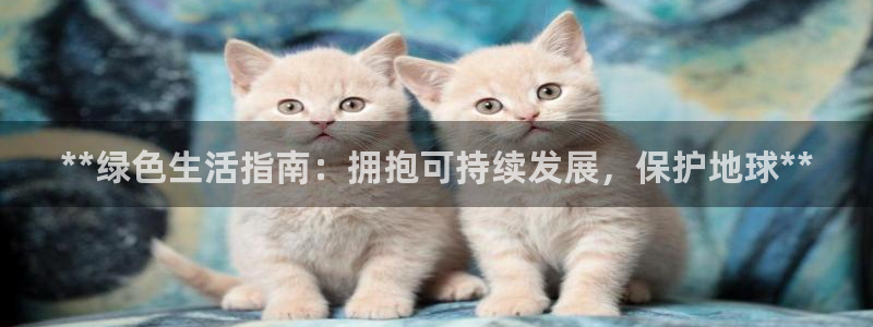 jdb龙舞游戏视频
