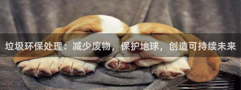 JDB电子猎龙高手官方网站官方网站是多少