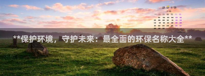 Jdb电子模拟器