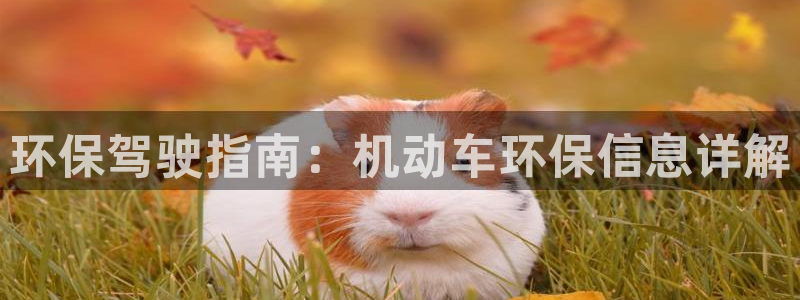 jdb电子试玩2000