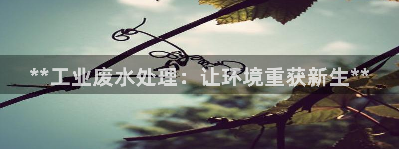 jdb电子体育