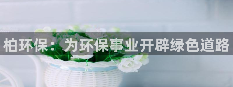 jdb电子台湾黑熊