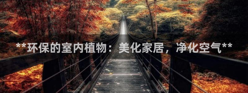 jdb哪个游戏最容易爆奖