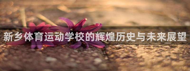 三亿体育登录：新乡体育运动学校的辉煌历史与未来展望