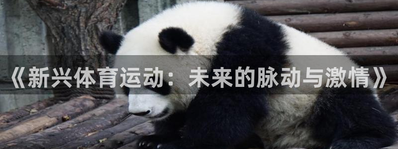 三亿体育网页版：《新兴体育运动：未来的脉动与激情》