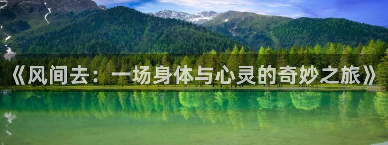 三亿体育登录：《风间去：一场身体与心灵的奇妙之旅》
