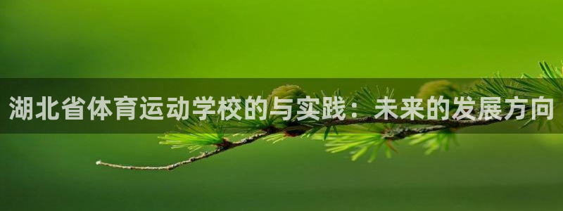 三亿体育网页版：湖北省体育运动学校的与实践：未来的发展方向