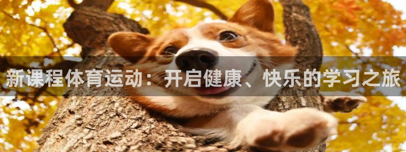三亿体育：新课程体育运动：开启健康、快乐的学习之旅