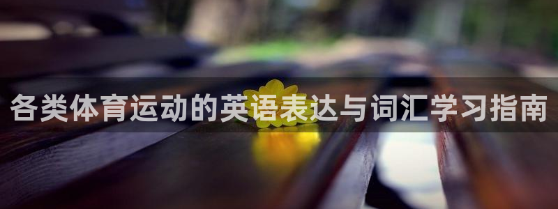 三亿体育登录：各类体育运动的英语表达与词汇学习指南