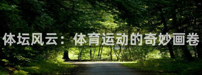 三亿体育网：体坛风云：体育运动的奇妙画卷