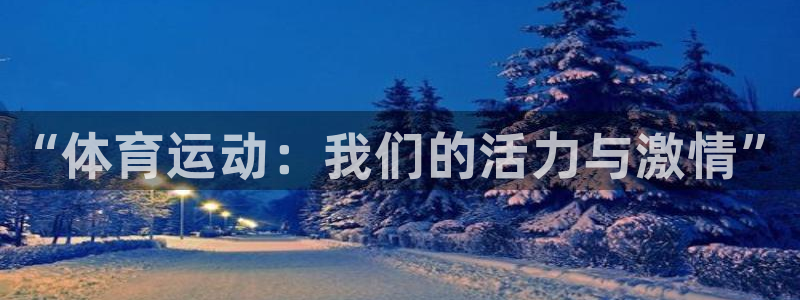 三亿体育登录：“体育运动：我们的活力与激情”