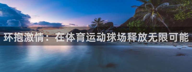 三亿体育：环抱激情：在体育运动球场释放无限可能