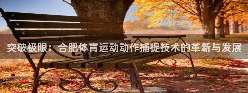 三亿体育：突破极限：合肥体育运动动作捕捉技术的革新与发展
