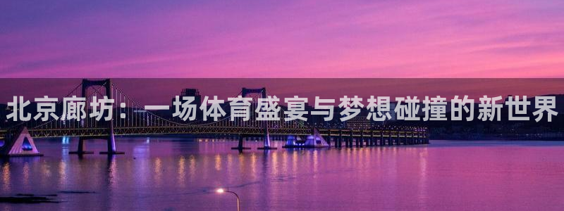 三亿体育网页版：北京廊坊：一场体育盛宴与梦想碰撞的新世界