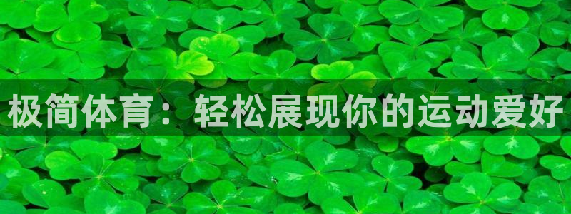 三亿体育网页版：极简体育：轻松展现你的运动爱好