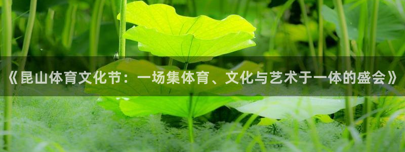 三亿体育：《昆山体育文化节：一场集体育、文化与艺术于一体的盛会》