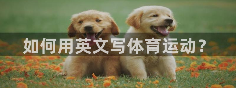 三亿体育网页版：如何用英文写体育运动？