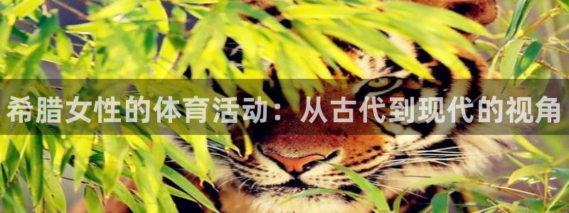 三亿体育网页版：希腊女性的体育活动：从古代到现代的视角
