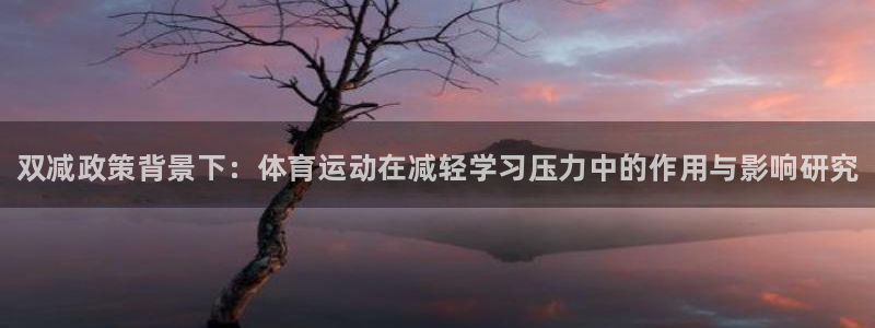 三亿体育登录：双减政策背景下：体育运动在减轻学习压力中的作用与影响研究