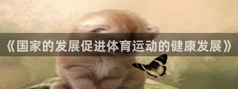 三亿体育