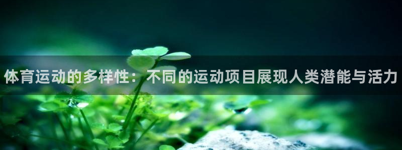 三亿体育：体育运动的多样性：不同的运动项目展现人类潜能与活力