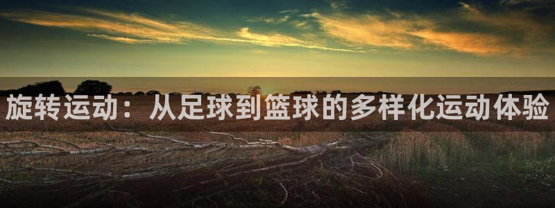 三亿体育网