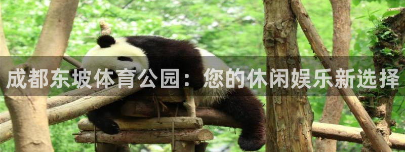 三亿体育：成都东坡体育公园：您的休闲娱乐新选择