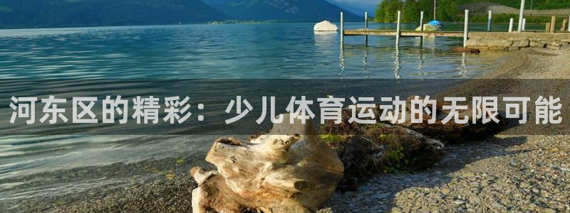 三亿体育网：河东区的精彩：少儿体育运动的无限可能