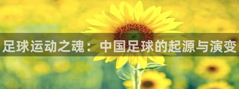三亿体育网：足球运动之魂：中国足球的起源与演变