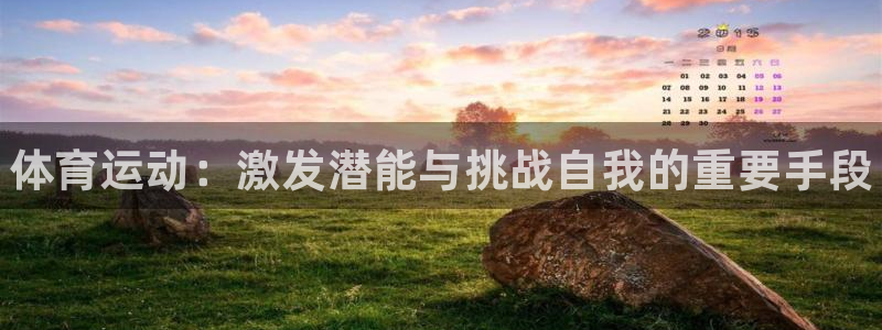 三亿体育网页版