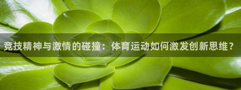 三亿体育网：竞技精神与激情的碰撞：体育运动如何激发创新思维？