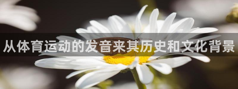 三亿体育登录：从体育运动的发音来其历史和文化背景