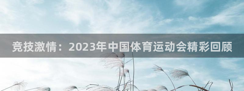 三亿体育：竞技激情：2023年中国体育运动会精彩回顾
