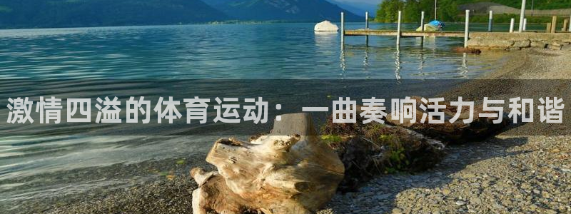 三亿体育登录：激情四溢的体育运动：一曲奏响活力与和谐