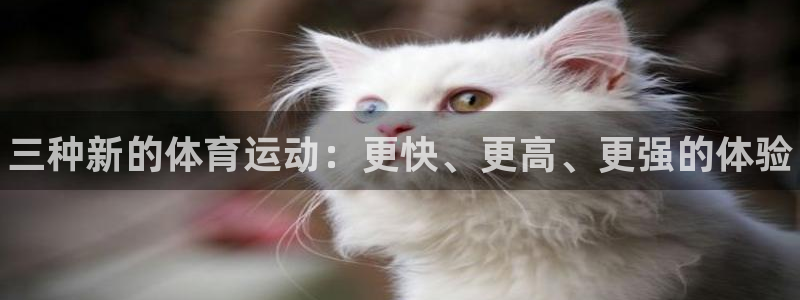 三亿体育登录：三种新的体育运动：更快、更高、更强的体验