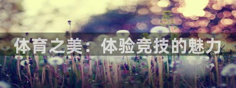 三亿体育：体育之美：体验竞技的魅力