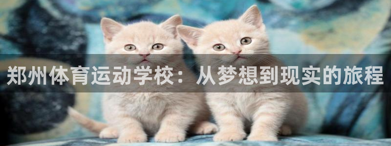 三亿体育网页版