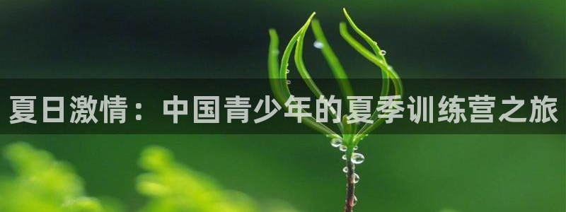 三亿体育网页版：夏日激情：中国青少年的夏季训练营之旅