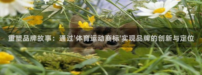 三亿体育登录：重塑品牌故事：通过\'体育运动商标\'实现品牌的创新与定位