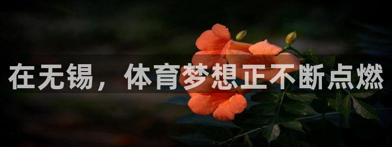 三亿体育登录