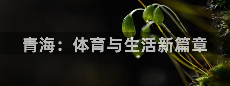 三亿体育：青海：体育与生活新篇章