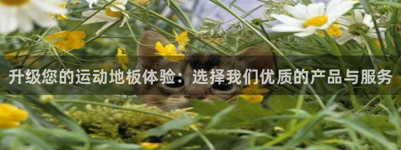 三亿体育登录